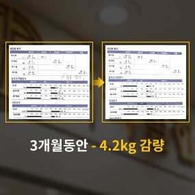 3개월동안 -4.2kg 감량 사례