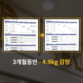 3개월동안 -5.2kg 감량 사례